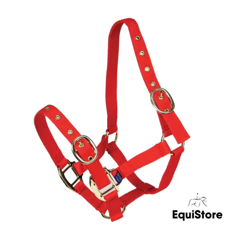 Equisential Nylon Headcollar Weanling Red